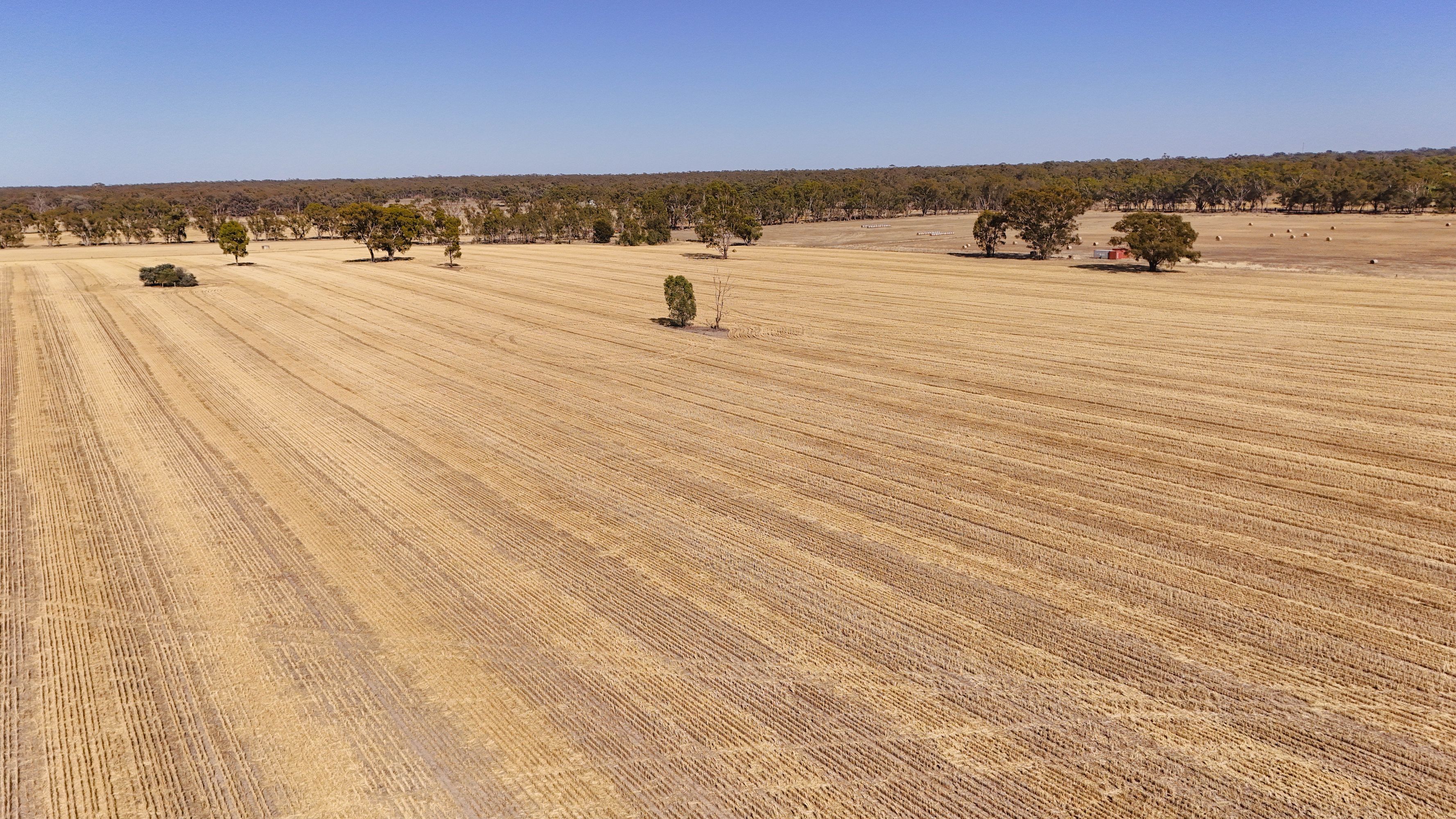 99 Winzar Lane, Goornong, Goornong - Thumbnail 4