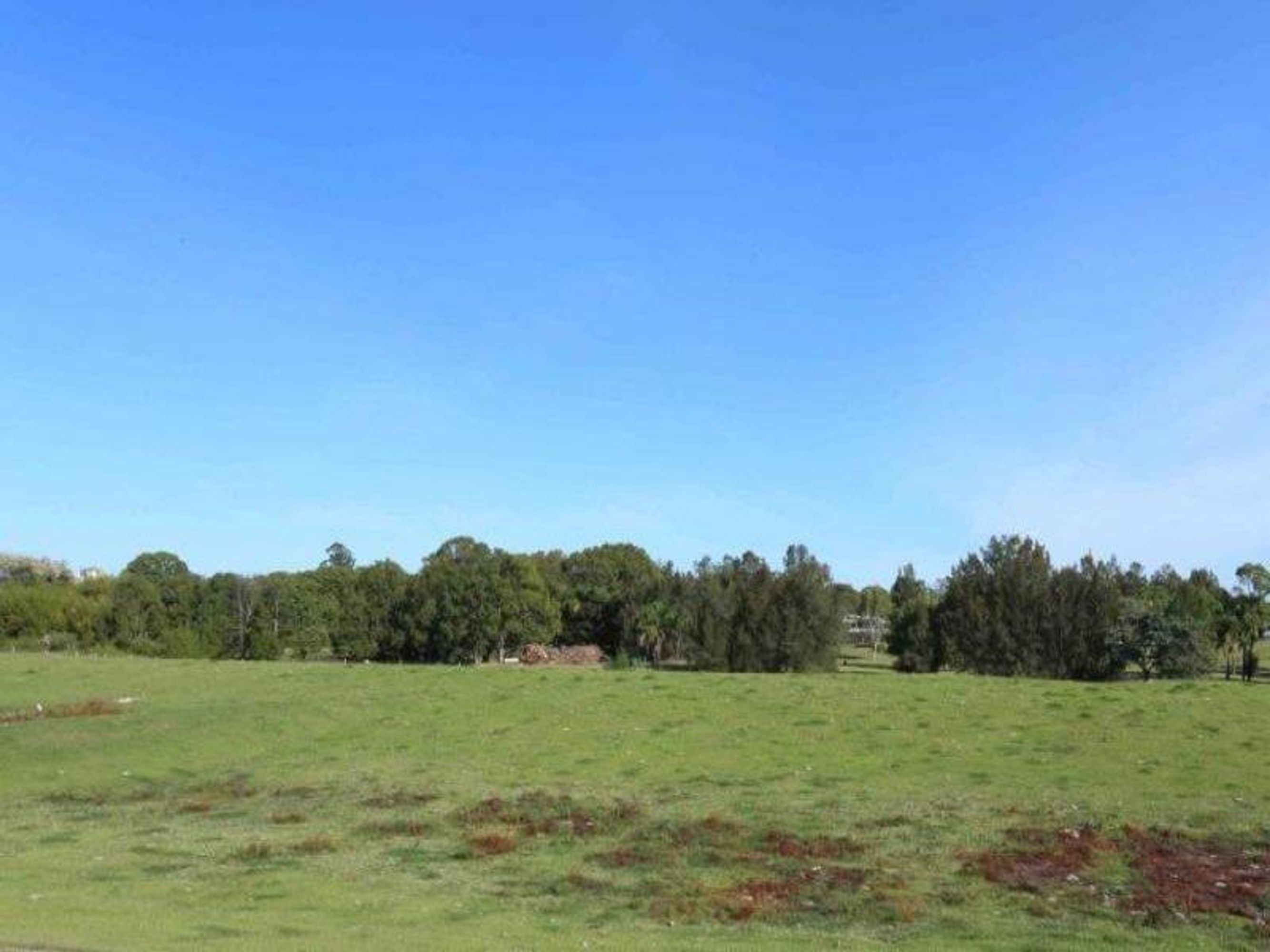24 Poplar Drive, Grafton - Thumbnail 4
