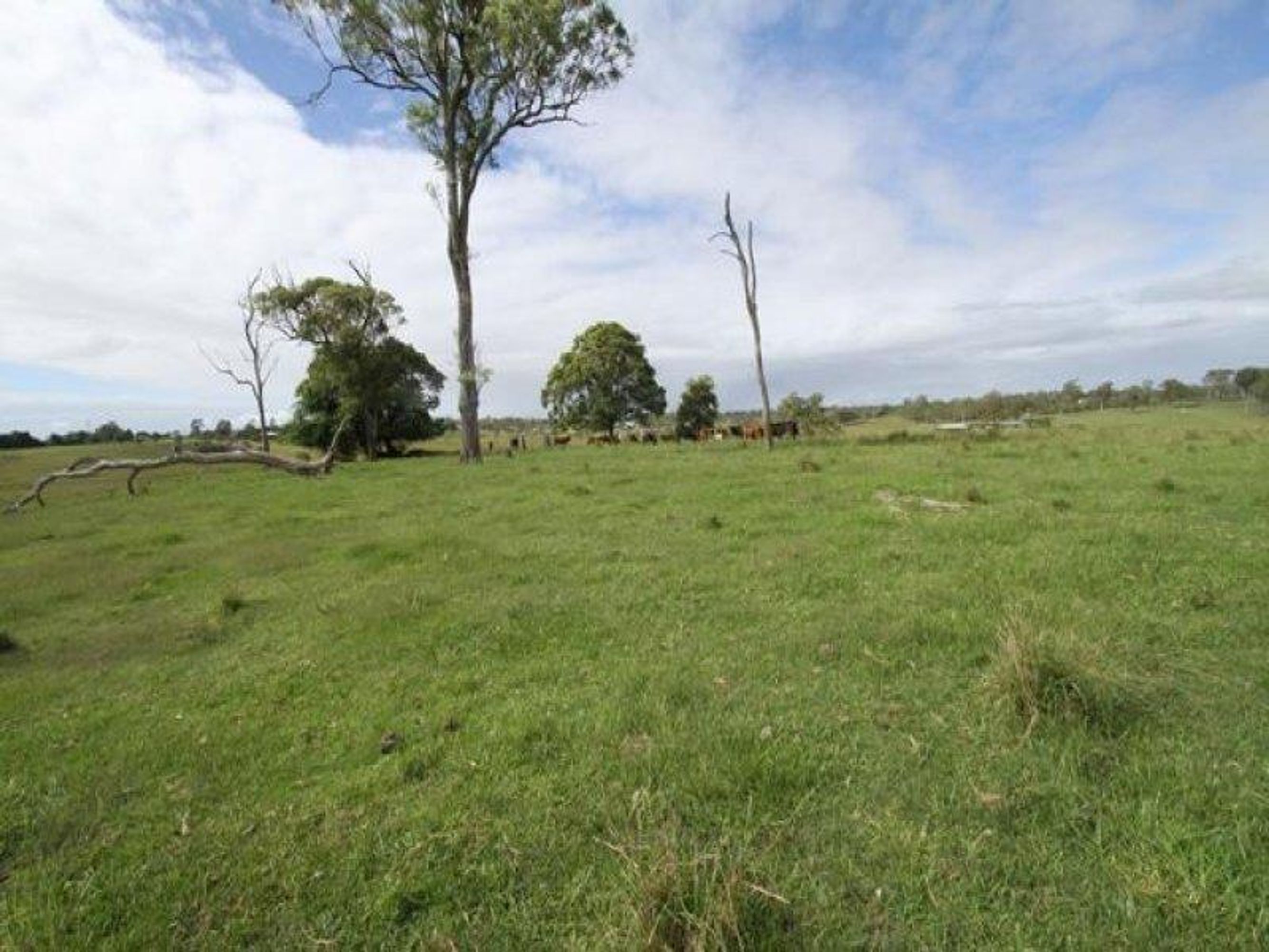 83/83 9, 183, Rushforth Road, South Grafton - Thumbnail 4