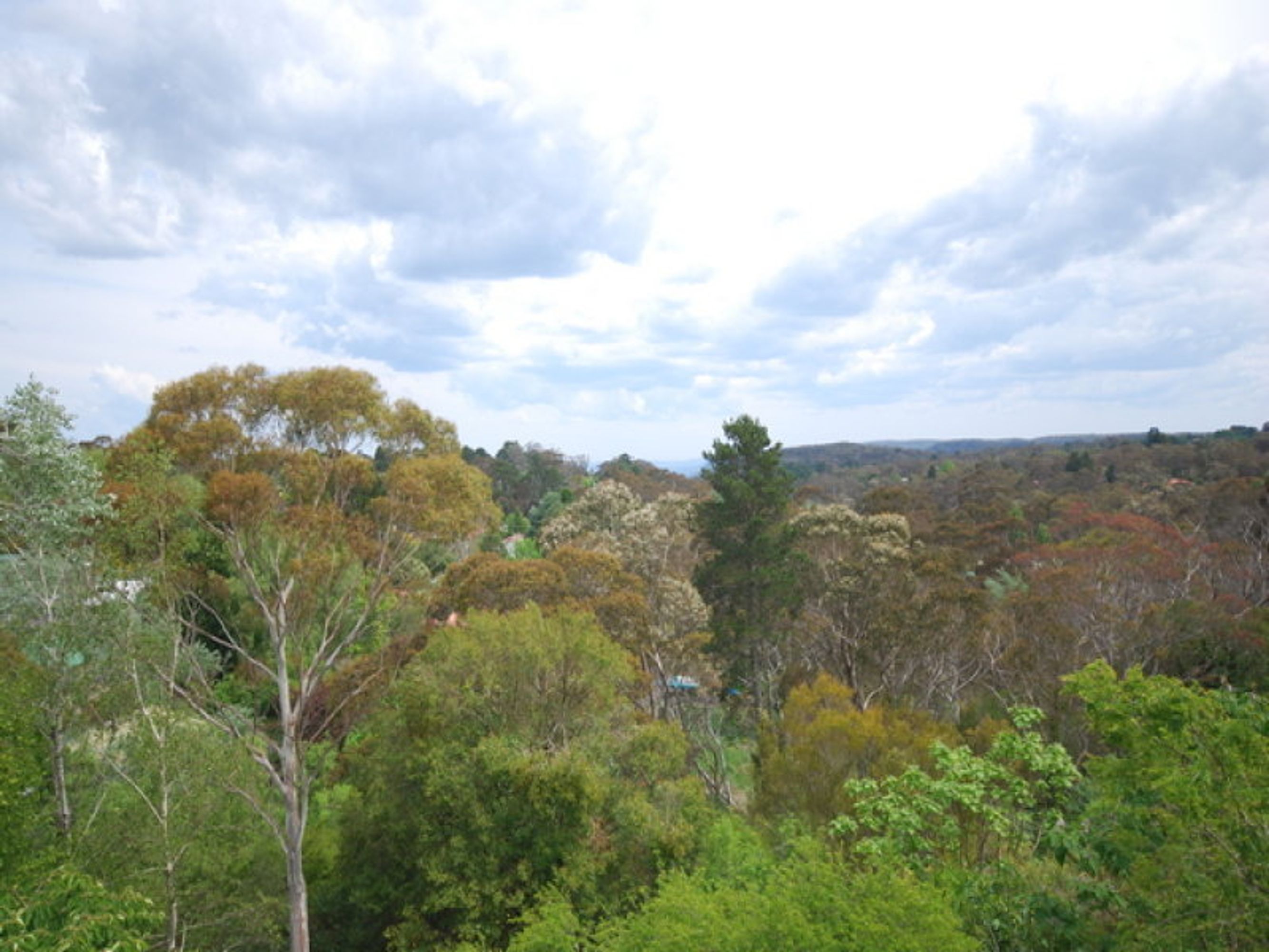 14 Warriga Street, Katoomba - Thumbnail 2