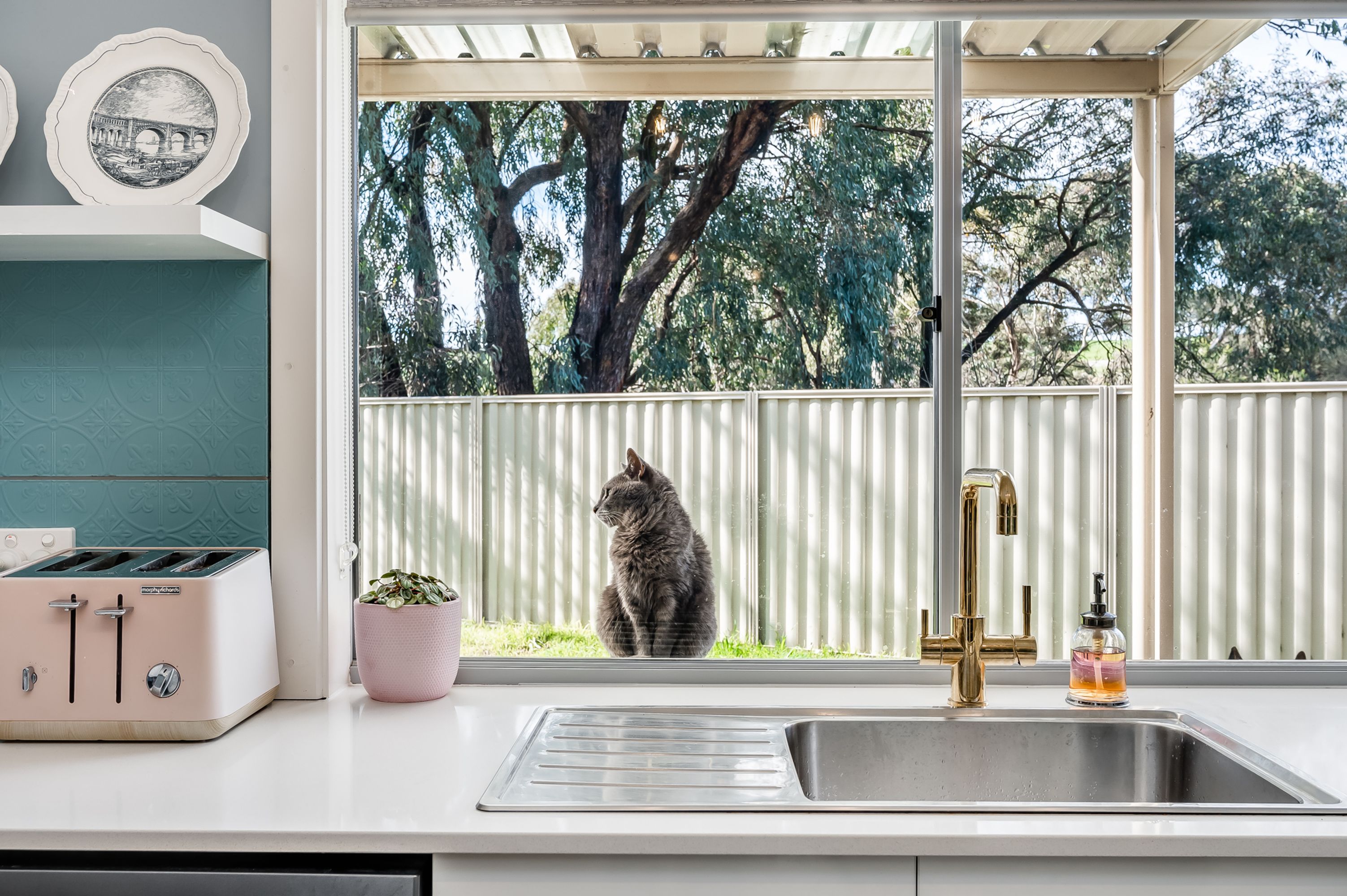 4A Plowman Close, Nairne SA 5252, Nairne - Thumbnail 6