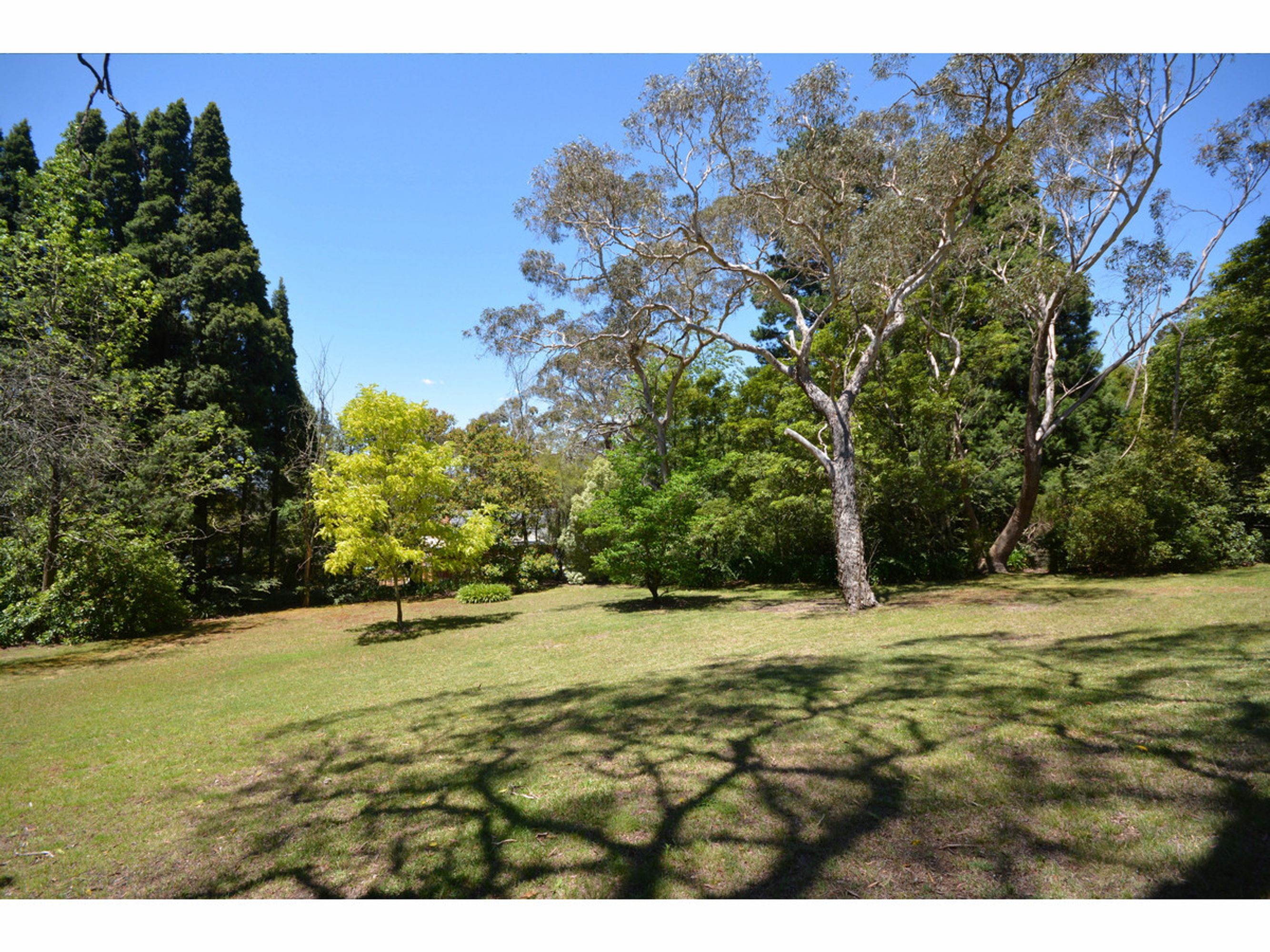 109 Blaxland Road, Wentworth Falls - Thumbnail 4