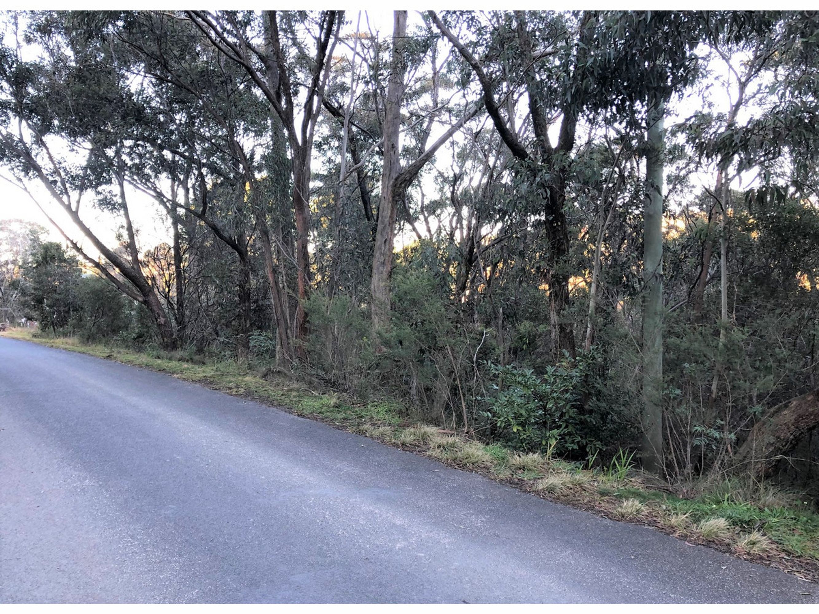 86 Govett Street, Katoomba - Thumbnail 2
