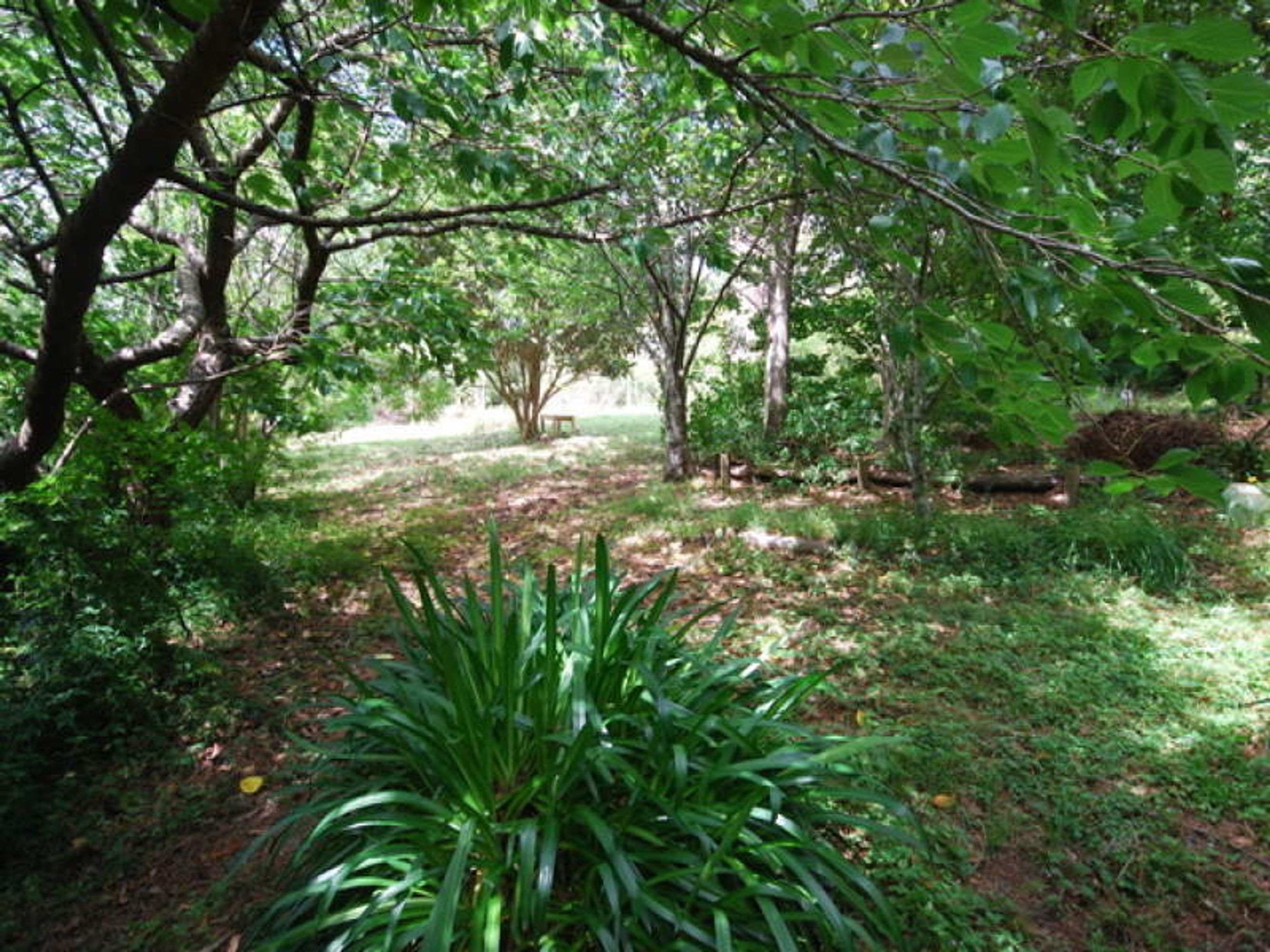 43 Loftus Street, Katoomba - Thumbnail 2