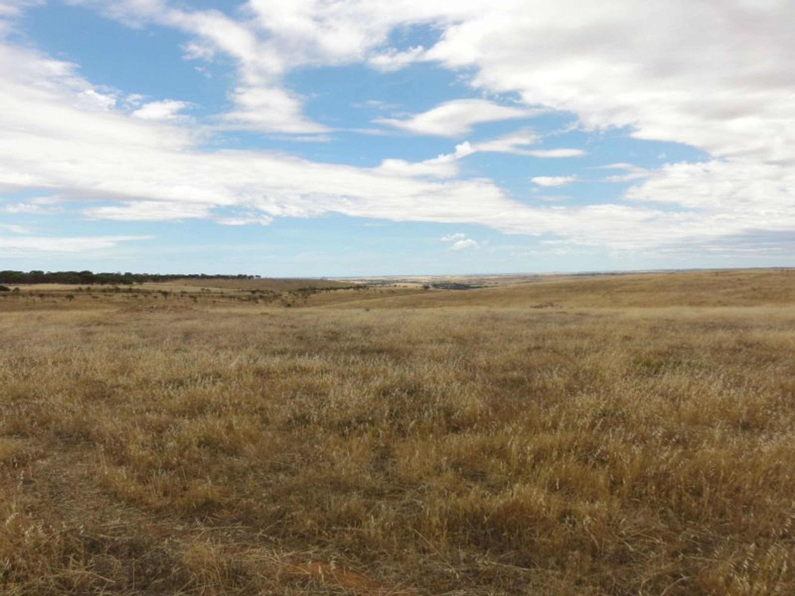 47 Highland Road, Callington, SA 5254, Callington - Thumbnail 3