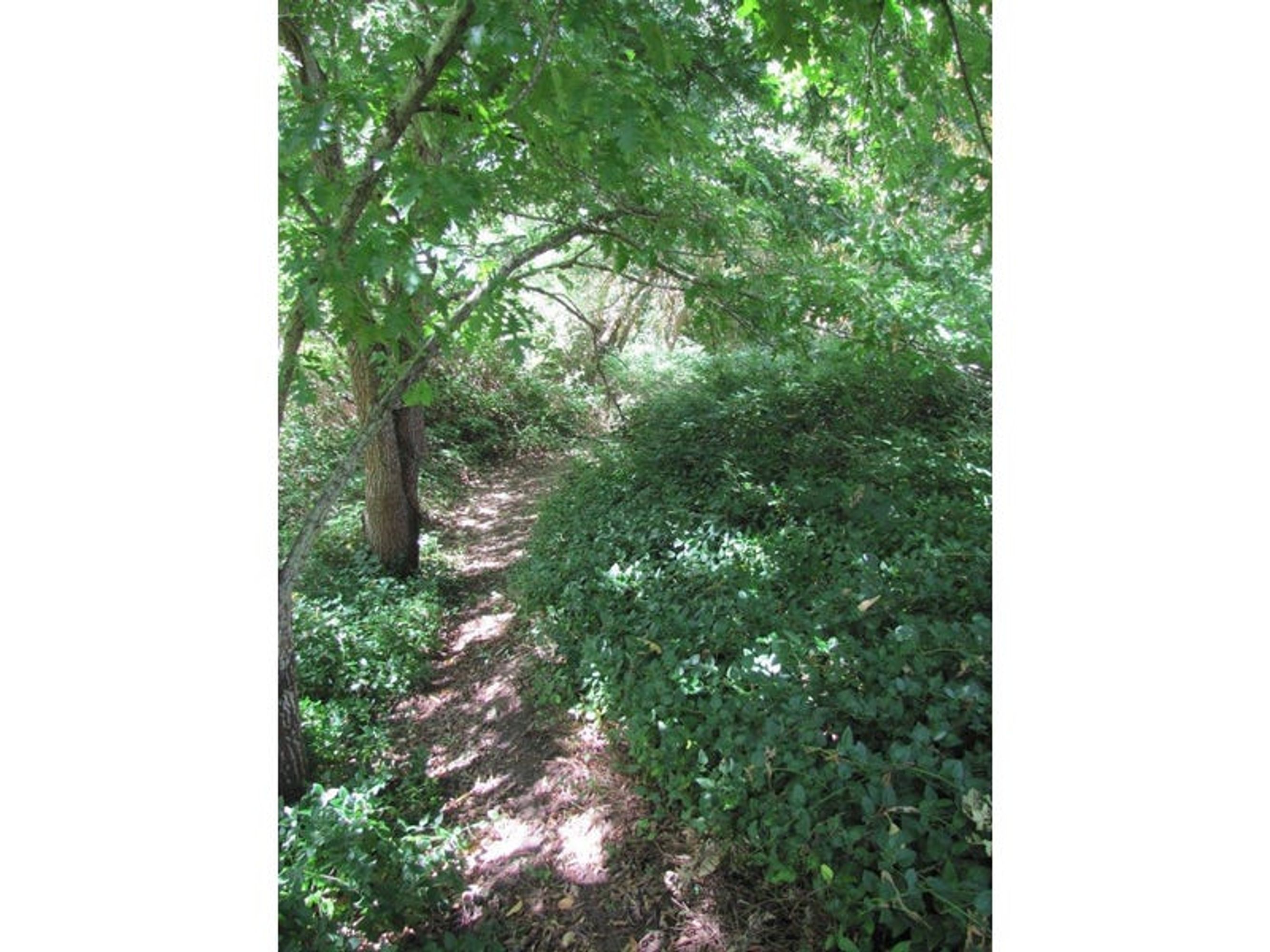 Lot 503, 12 Searle Street, Macclesfield, SA 5153, Macclesfield - Thumbnail 8