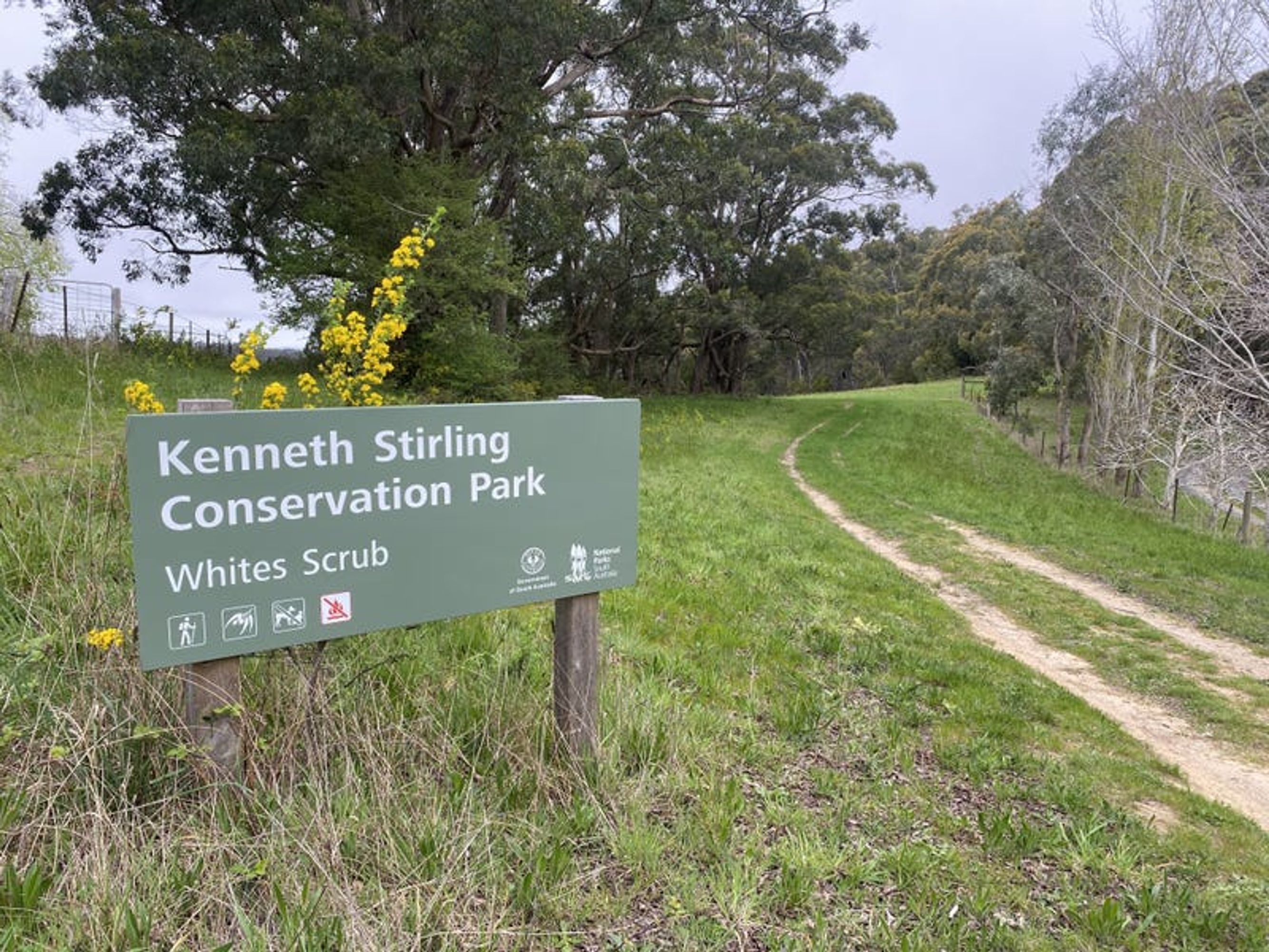 Lot 211 Sharps Road, Carey Gully, SA 5144, Carey Gully - Thumbnail 8