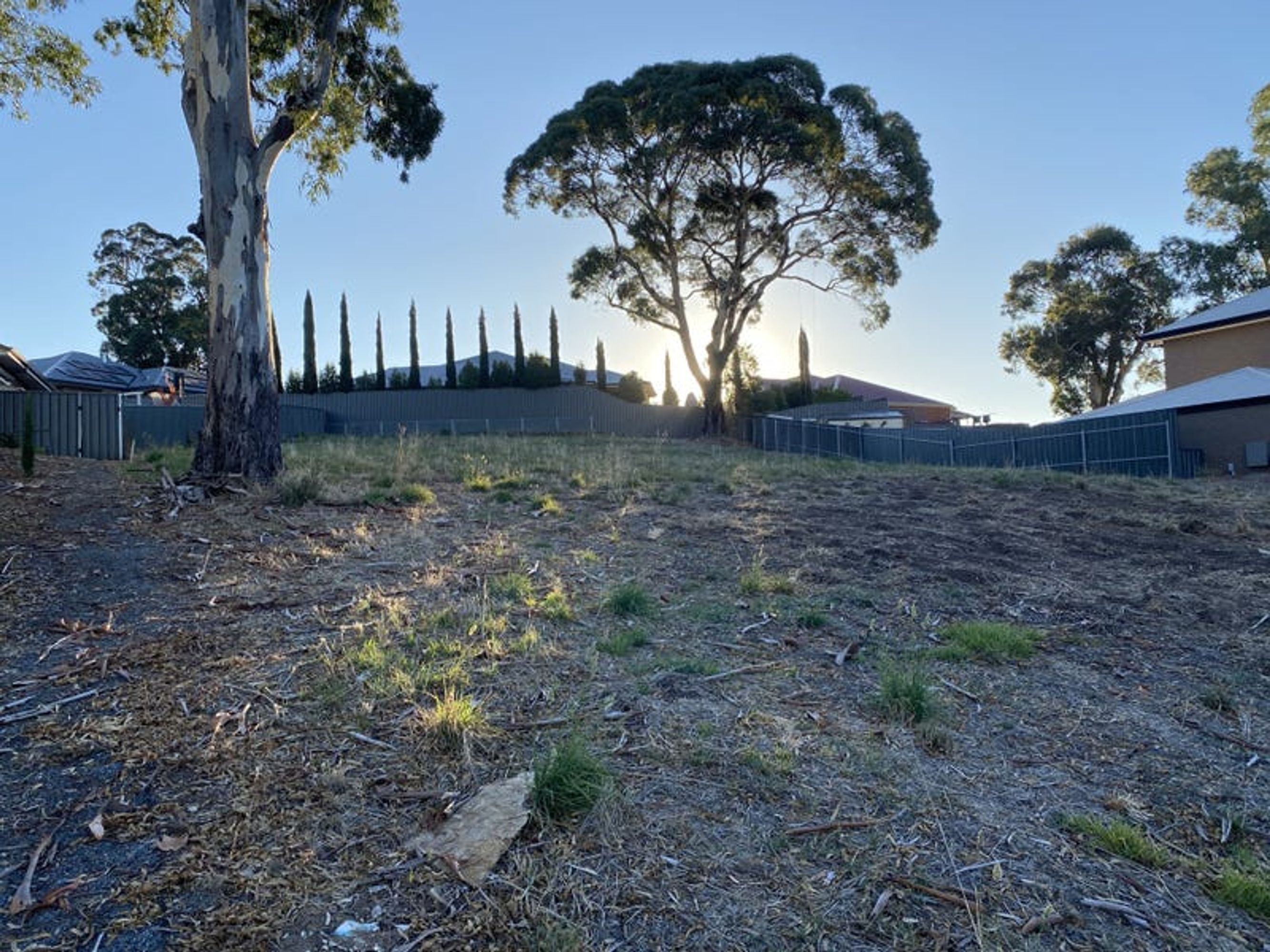20 Silhouette Street, Mount Barker, SA 5251, Mount Barker - Thumbnail 3