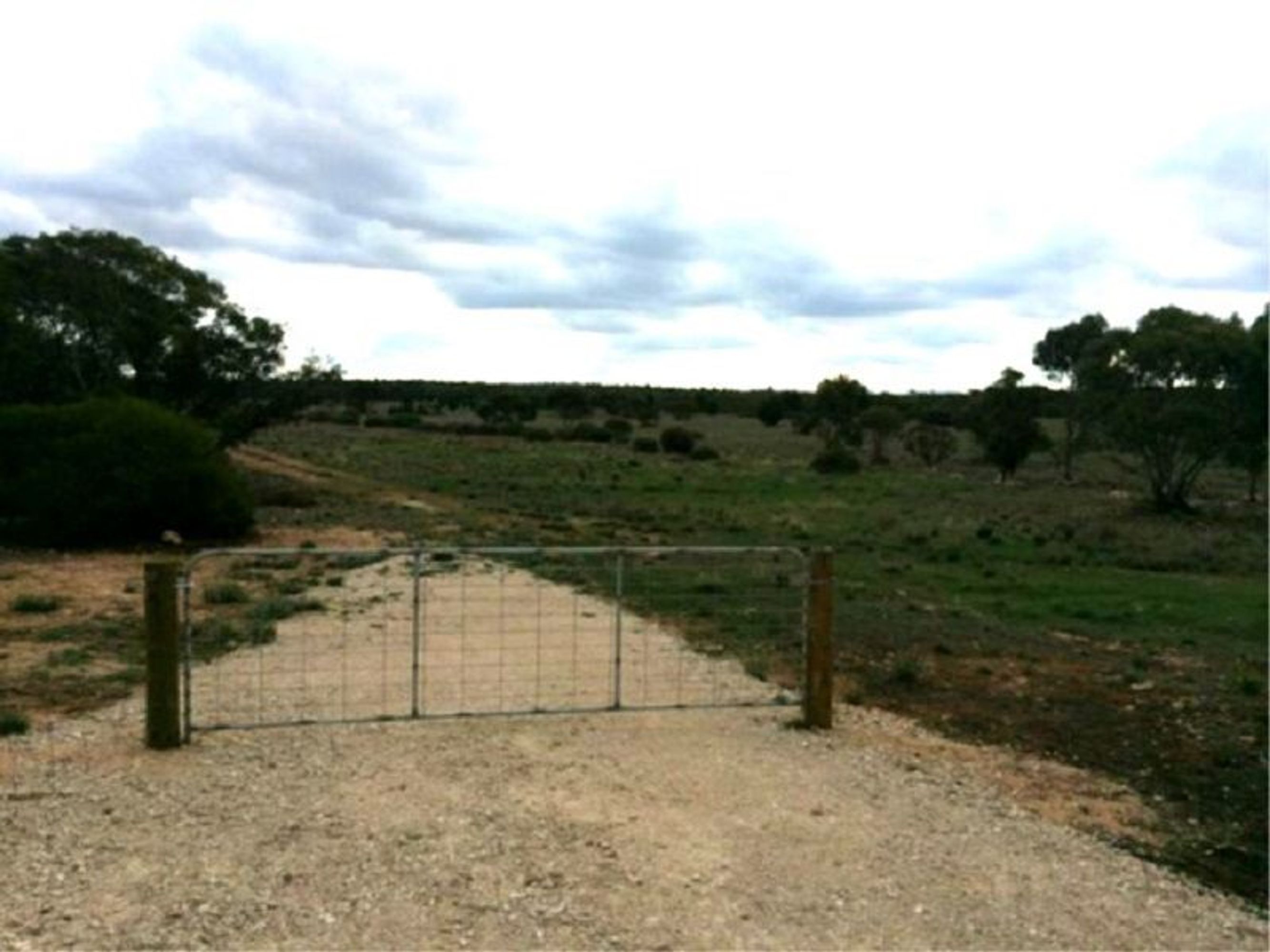 Lot 19 Ferries McDonald Road, Monarto South, SA 5254, Monarto South - Thumbnail 5