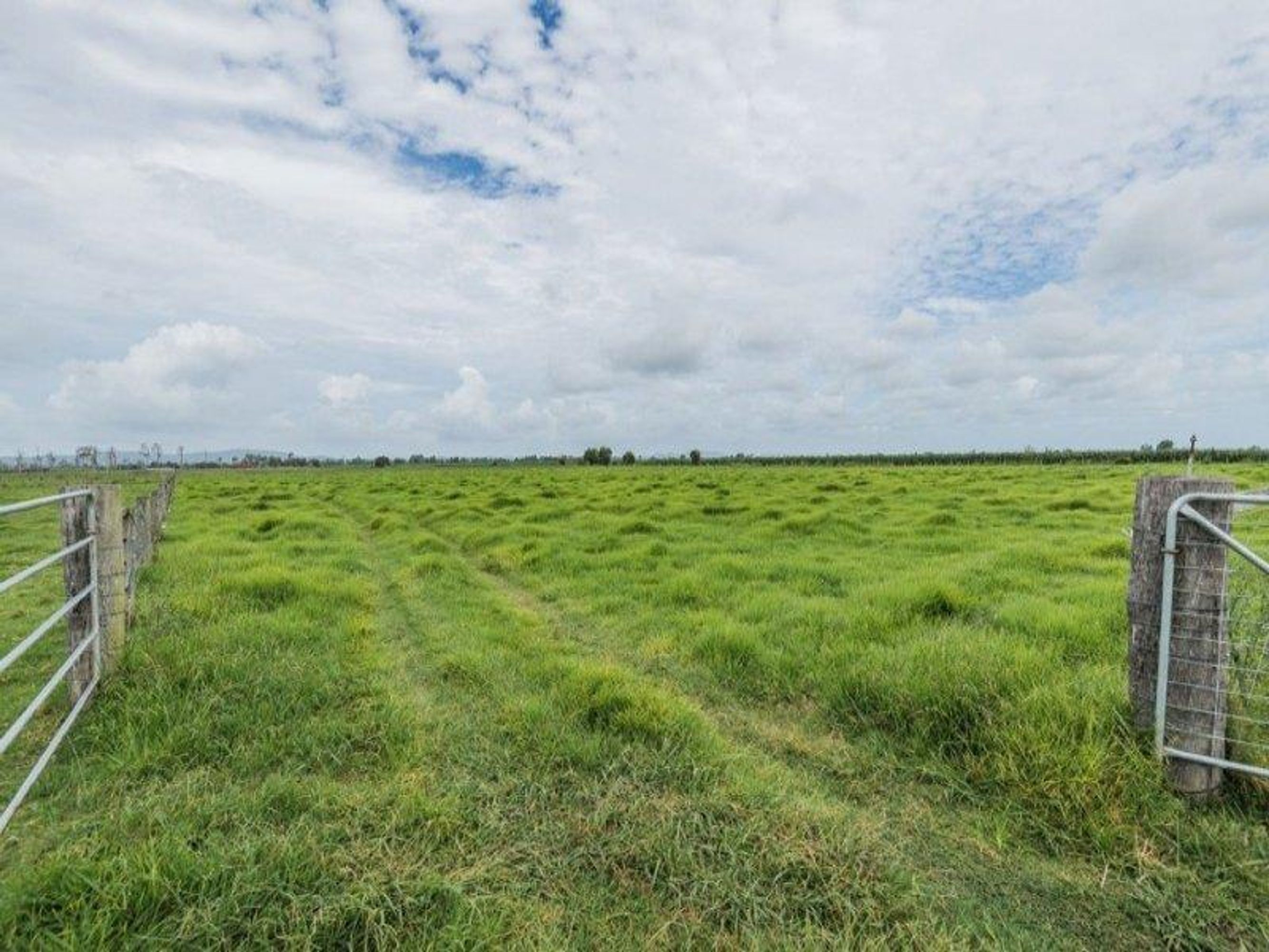 1488 Pacific Highway, Ulmarra - Thumbnail 4