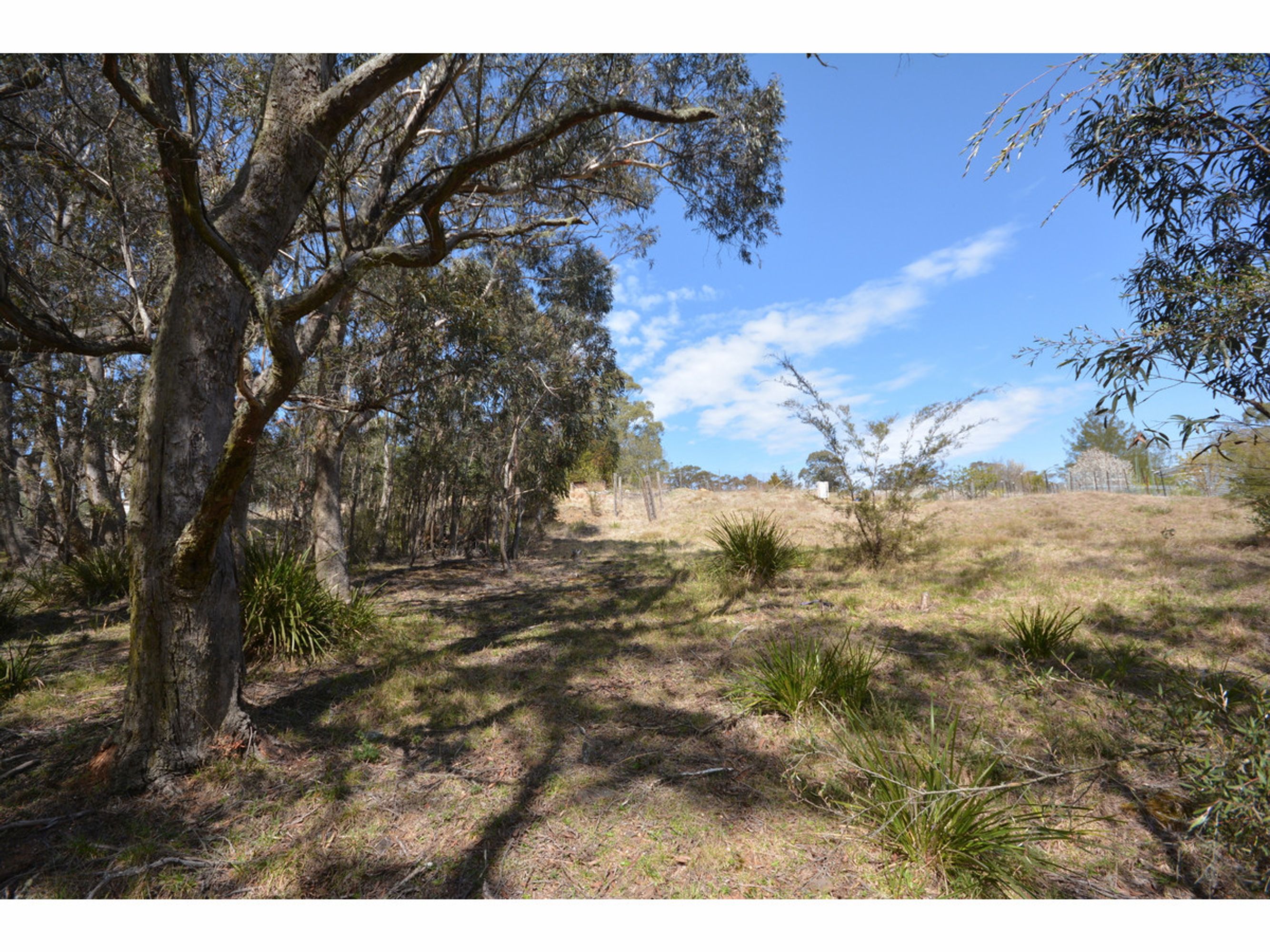 Rear of 55 Rear of 55 Farnells Road, Katoomba - Thumbnail 2