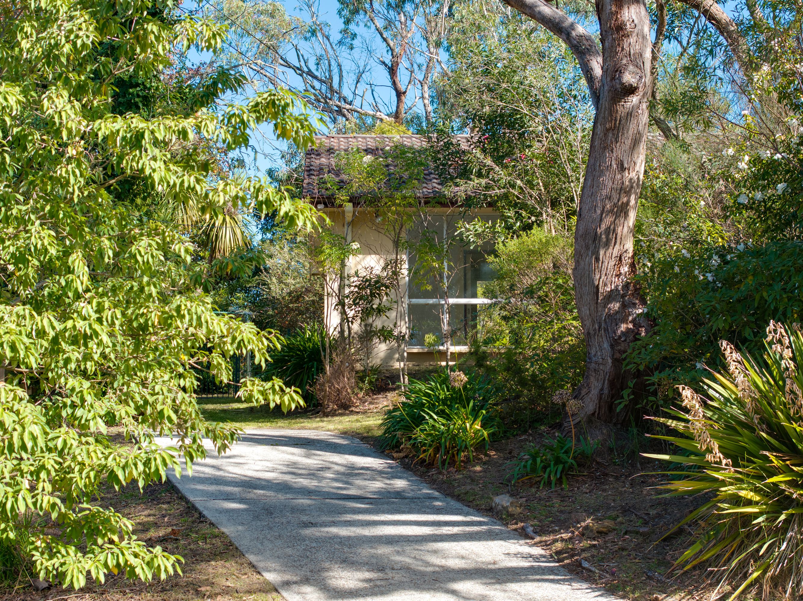 37 Westbourne Avenue, Wentworth Falls - Thumbnail 3