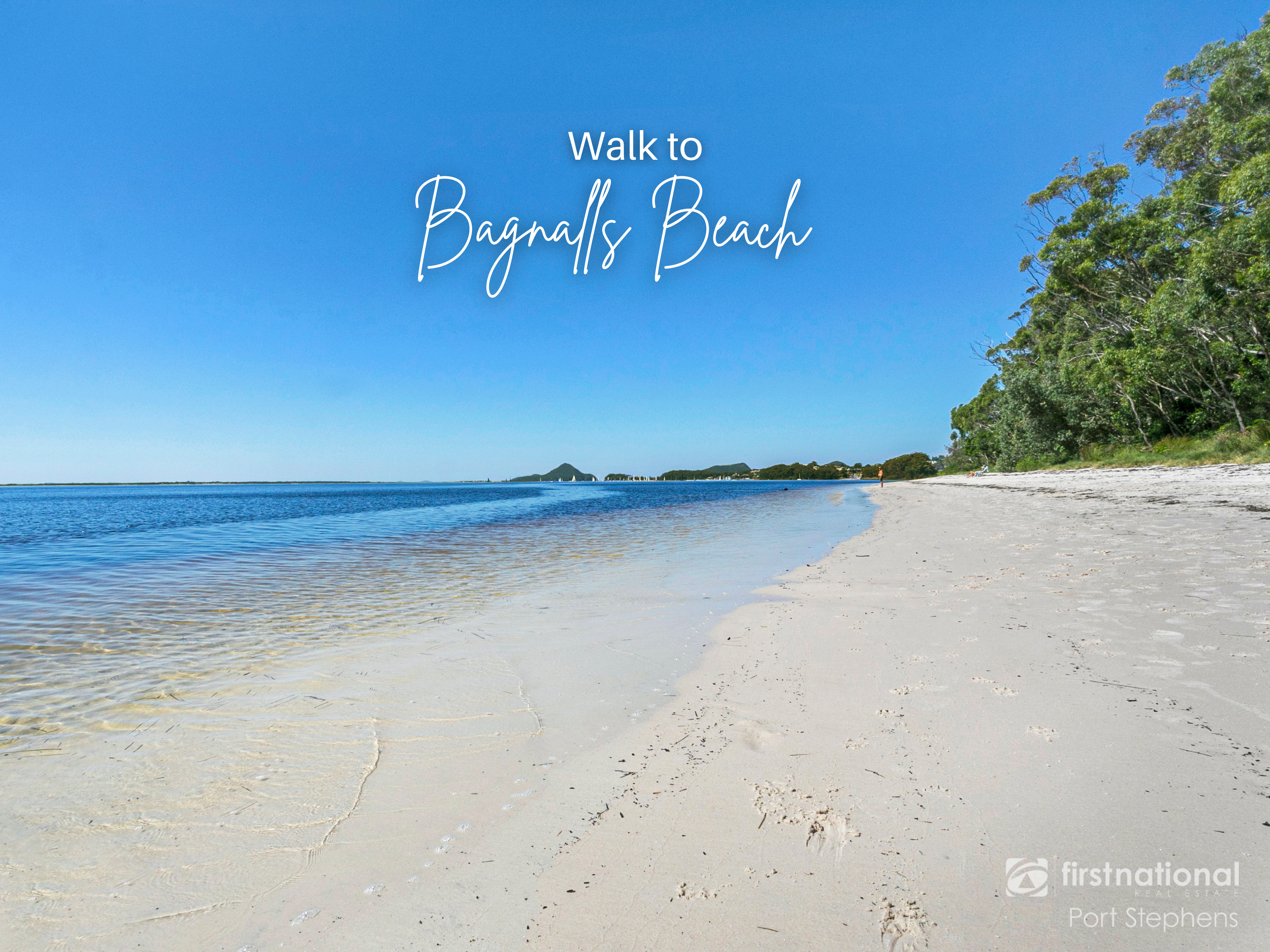117 Government Road, Nelson Bay NSW 2315, Nelson Bay - Thumbnail 6