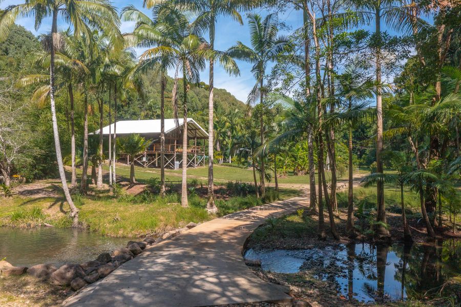 273 Crabbes Creek Road, Crabbes Creek NSW 2483, Crabbes Creek - Image 1