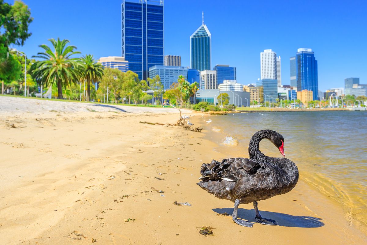 Eastern states investors see value in Perth