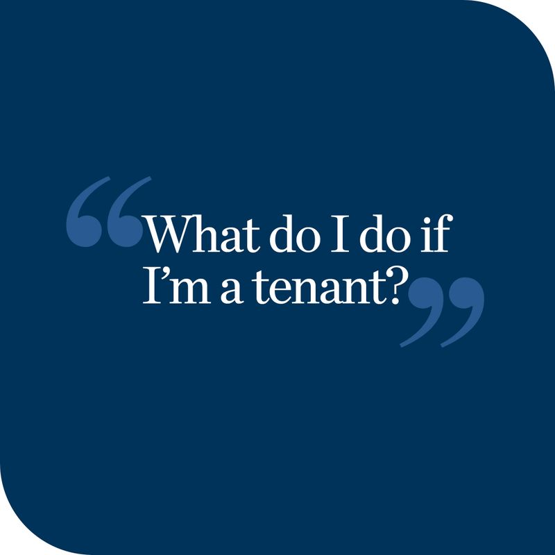 What to do if you're a tenant 