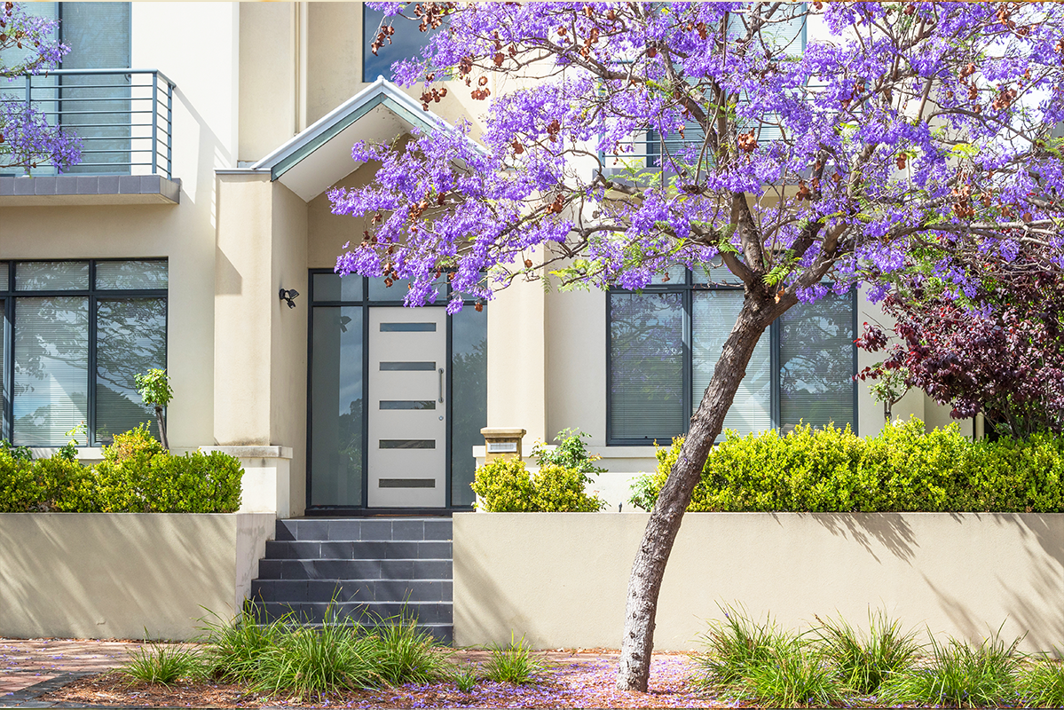 November reigns supreme for Perth property sales