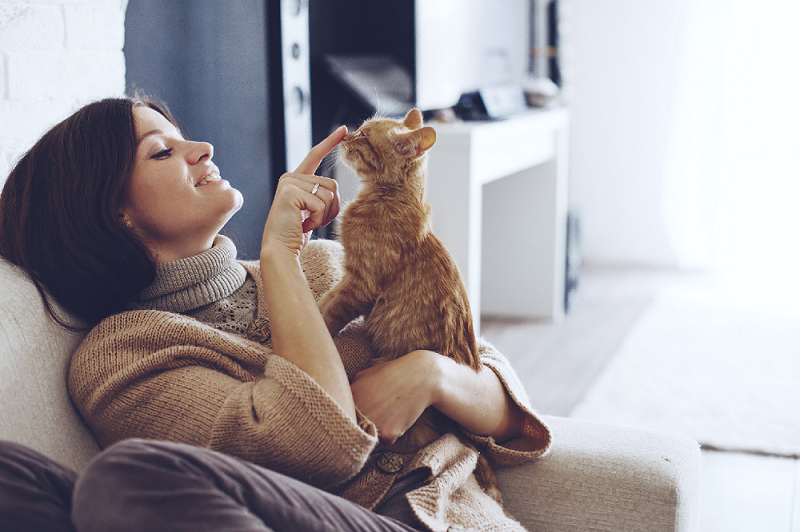 How to find a pet friendly rental property