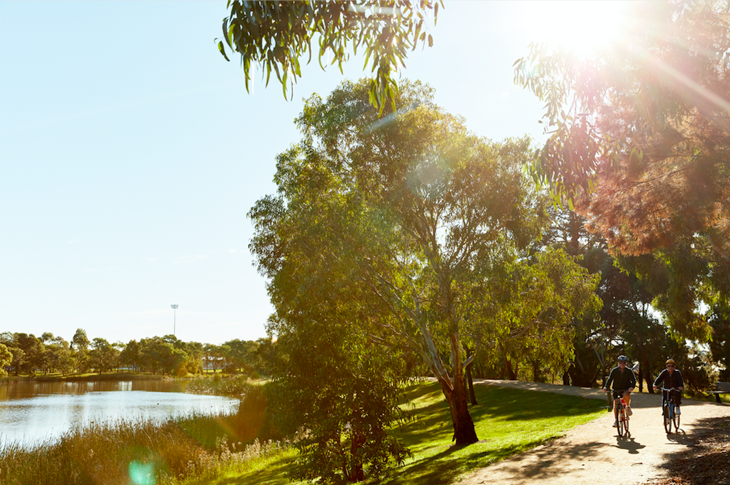 Suburb Spotlight: Discover the Charm and Potential of Clyde 