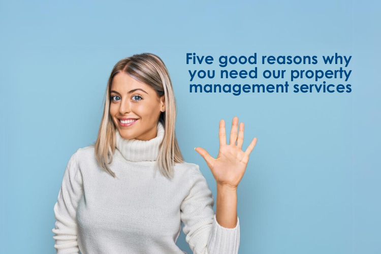  Why Our Property Management Services Are a Must for Albion Park Landlords
